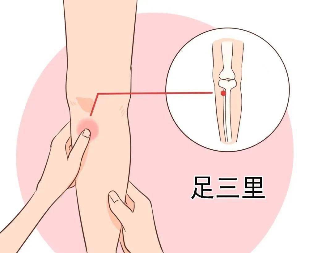 多摸摸这4个部位孩子越来越聪明