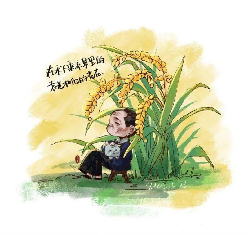 杂交水稻能够被种到全世界高到我们可以在水稻下乘凉一是希望我们的