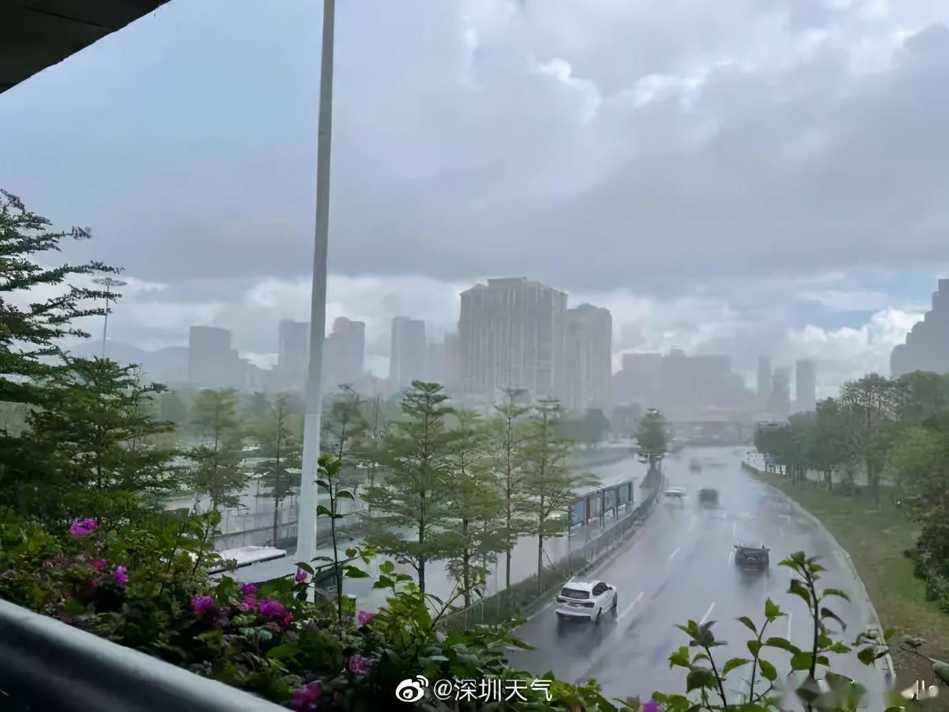 暴雨大風報道!