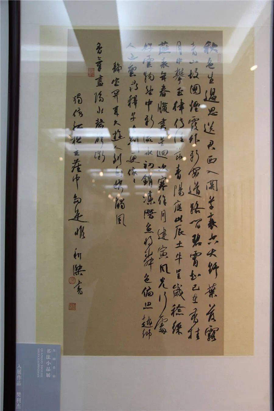 全国首届书法小品展获奖入展作品欣赏