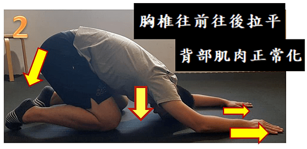 ca116af7e216477d85687c0ed99cc8a0.png