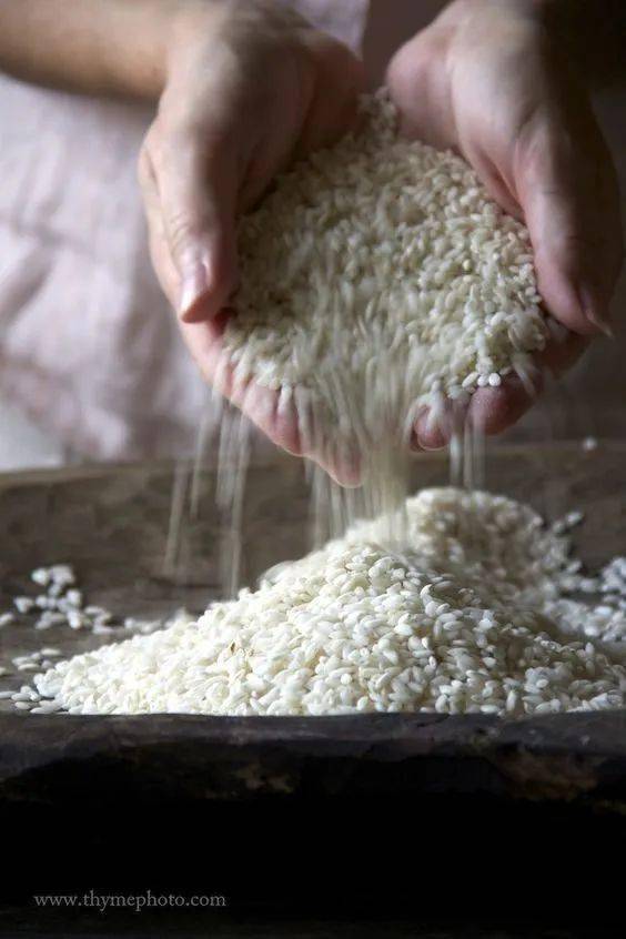 糙米碾去米糠层就是我们吃的大米.