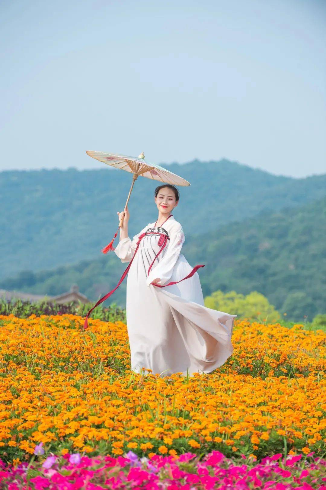 好消息拈花湾的花都开好啦