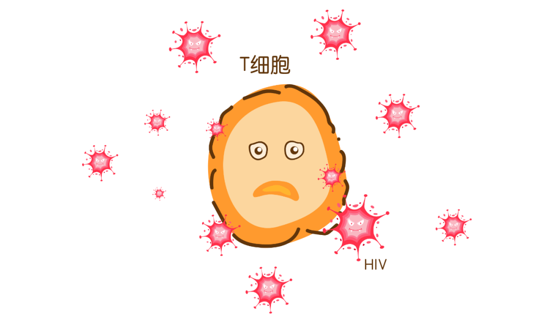 艾滋病病毒疫苗是否遥遥无期