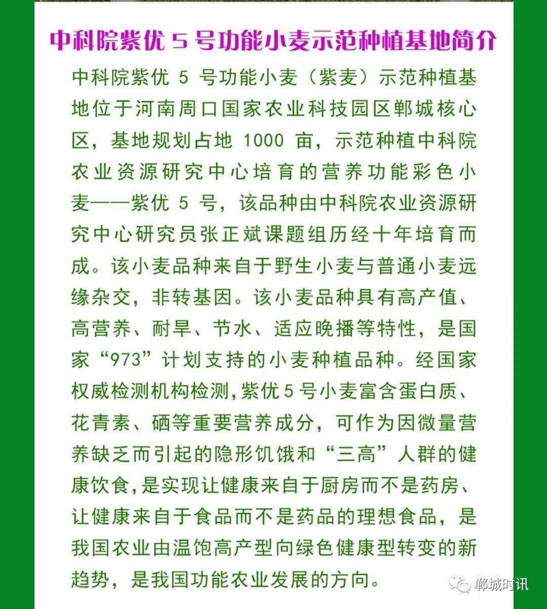简谱的餐桌_餐桌卡通图片(3)