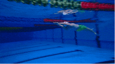 e06fbb8e86764f30a3fad56509515afb.gif