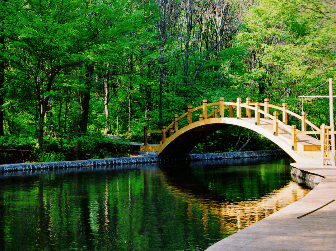 【你好夏天】在通化的绿野仙踪之境 重温那仲夏夜之梦