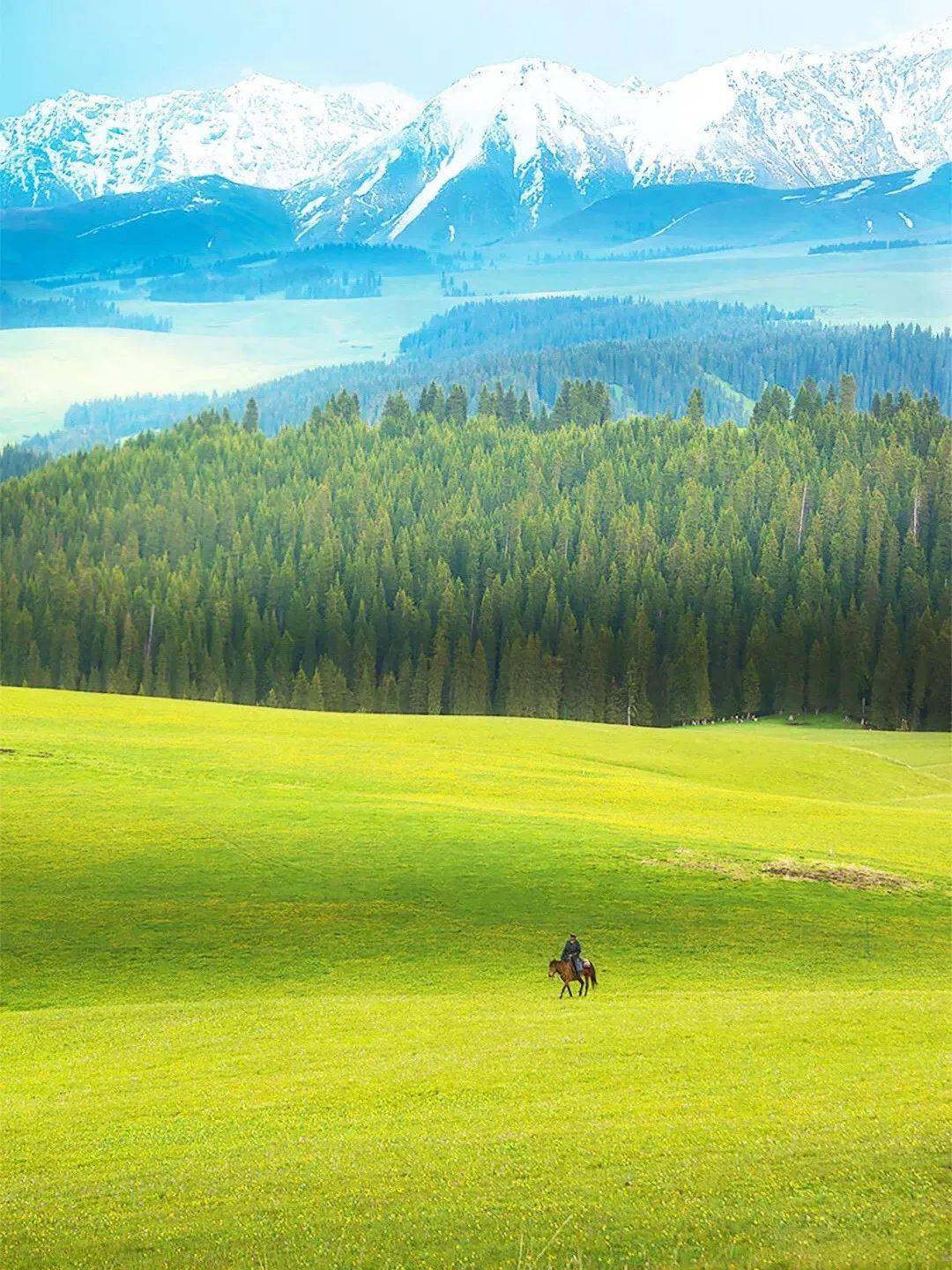 在伊犁众多草原美景中,喀拉峻草原汇聚了伊犁草原所有精华.