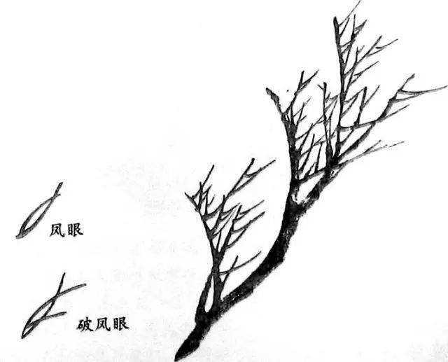 29eda5d66306436c8bcb64f192bfa9bf.jpeg