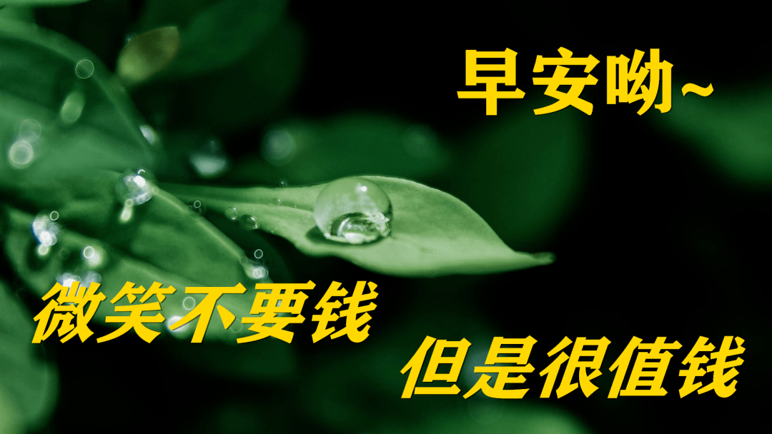 2021早上好問候祝福動態表情圖片 最新早晨好問候動態圖片表情