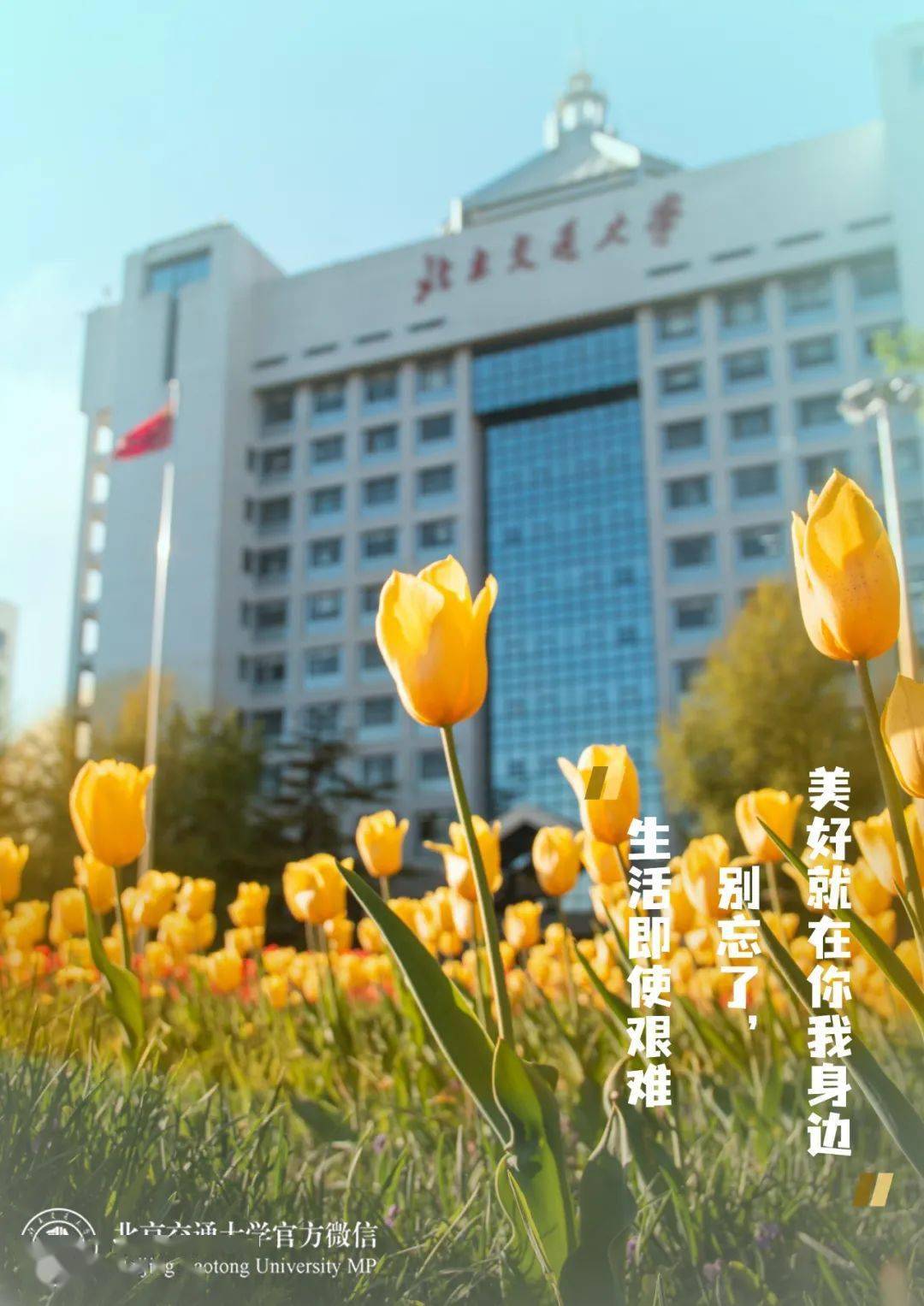 edcf65266a704671a251888611945260.jpeg