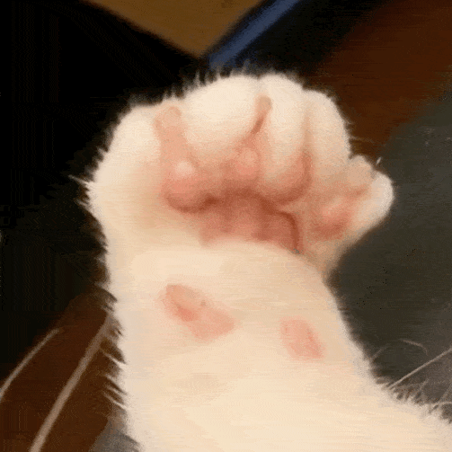 谢谢,没有那种世俗的欲望!丨第107期表情包