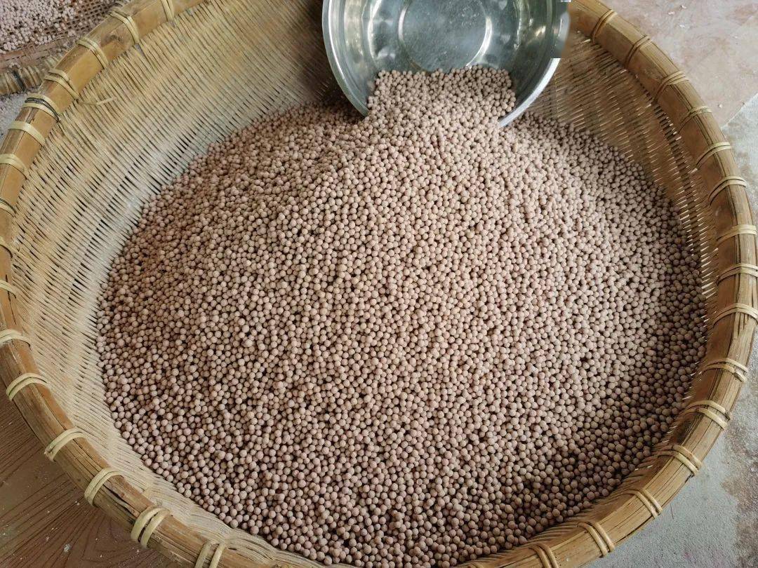 非遗调研|走进合浦乾江古镇,探寻沙谷米制作技艺