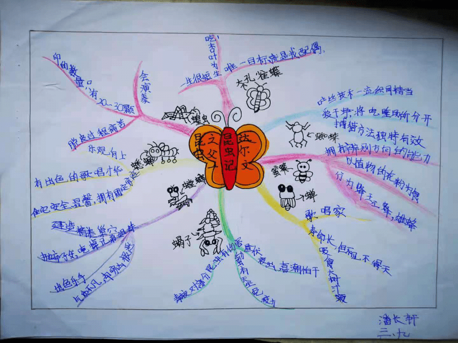 b62448196218495787a308f95609d4a9.png