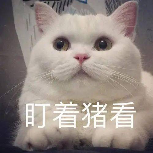 bfa4028064e94e7eb7bf6c1d555da2ef.jpeg