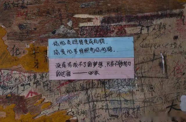清华教授怒批躺平族，俞敏洪呼吁不能躺平