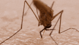 da9895244b5d45c9b7c12a2019e67b1c.gif