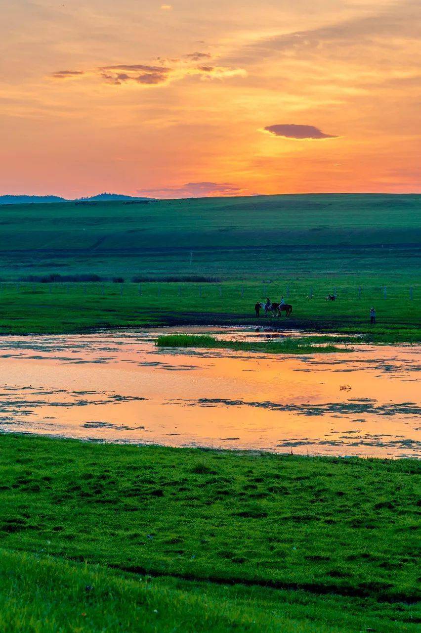 呼伦贝尔机场从天边草原海拉尔到浪漫之都大连赴一场6月的约会