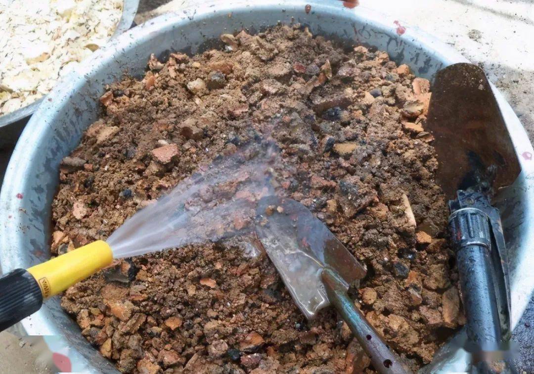 花土 煤渣养花:该怎么处理煤渣,用了有什么好处,如何搭配?