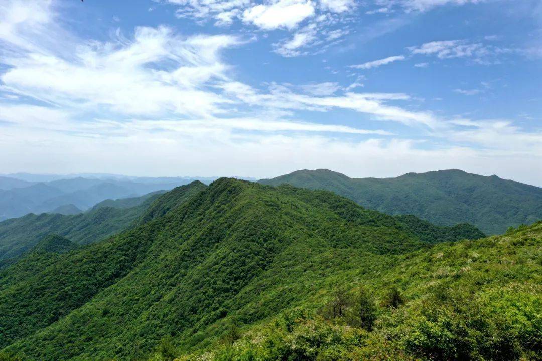 登营盘山顶赏海棠花开网友活动作品展播一