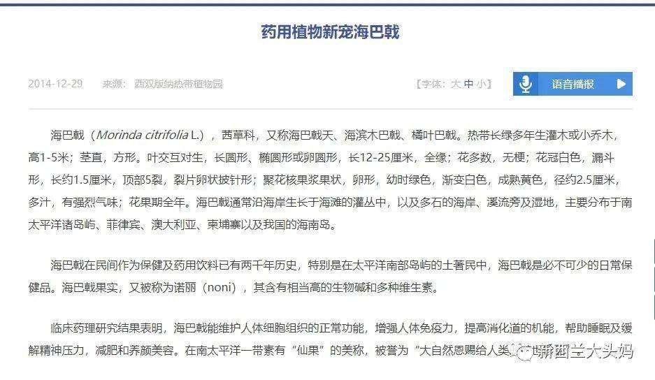 诺丽也叫海巴戟