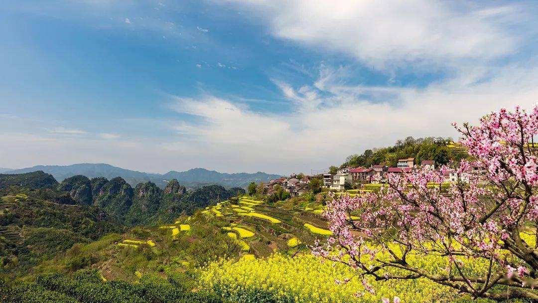 后金山村 图源@青水