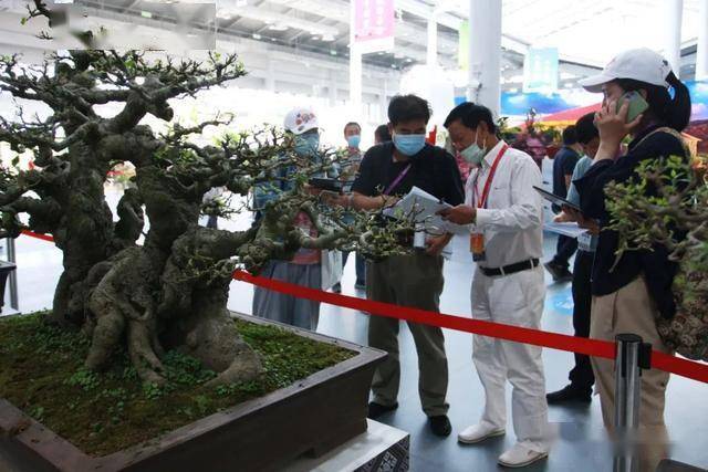 怎么样让自己保持最佳的状态 51b424d7d68d450785f023f1fc439f62.jpeg