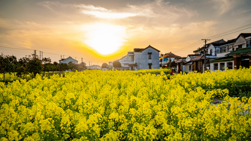 签约182亿美丽南大门辛庄欢迎你