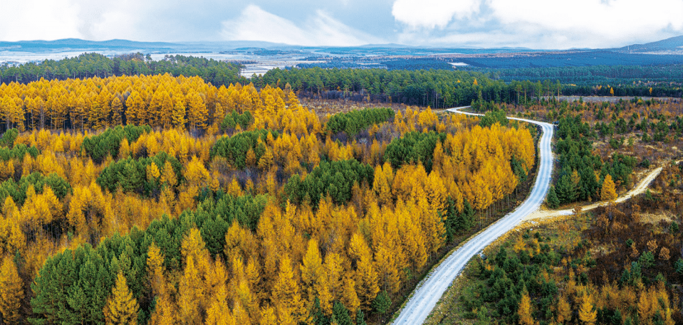 政府合作集团全力助推黑龙江佳木斯桦南县经济开发区招商引资集中优势
