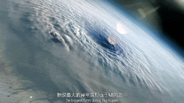 600_338gif 动态图 动图