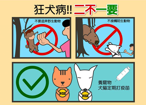 【北京疾控提醒您】夏季动物致伤增多，需要关注这种传染病！
                
                 