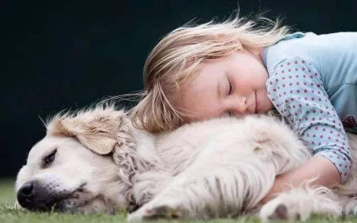 吃什么东西最容易长毛 8246e5e10adc40ad912d22a467ab1e08.jpeg