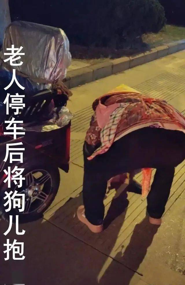 云南急死人了这条小狗被三轮车拖行已经双目紧闭四肢流血奄奄一息