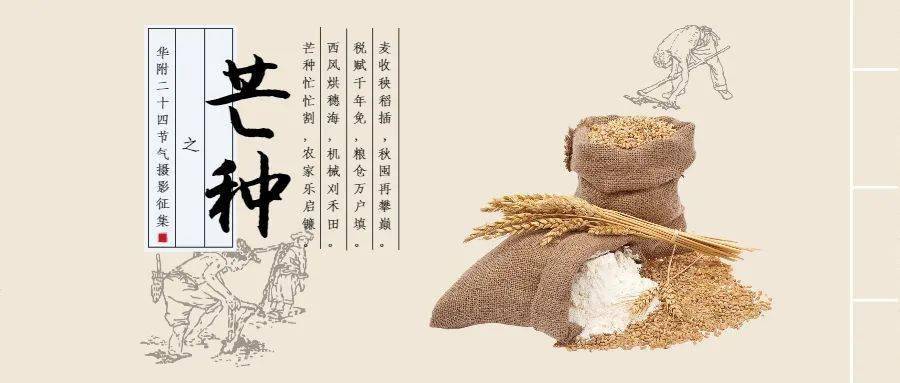 华附2021高考倒计时|芒种忙,高考强:华附二十四节气摄影2021征集(9)