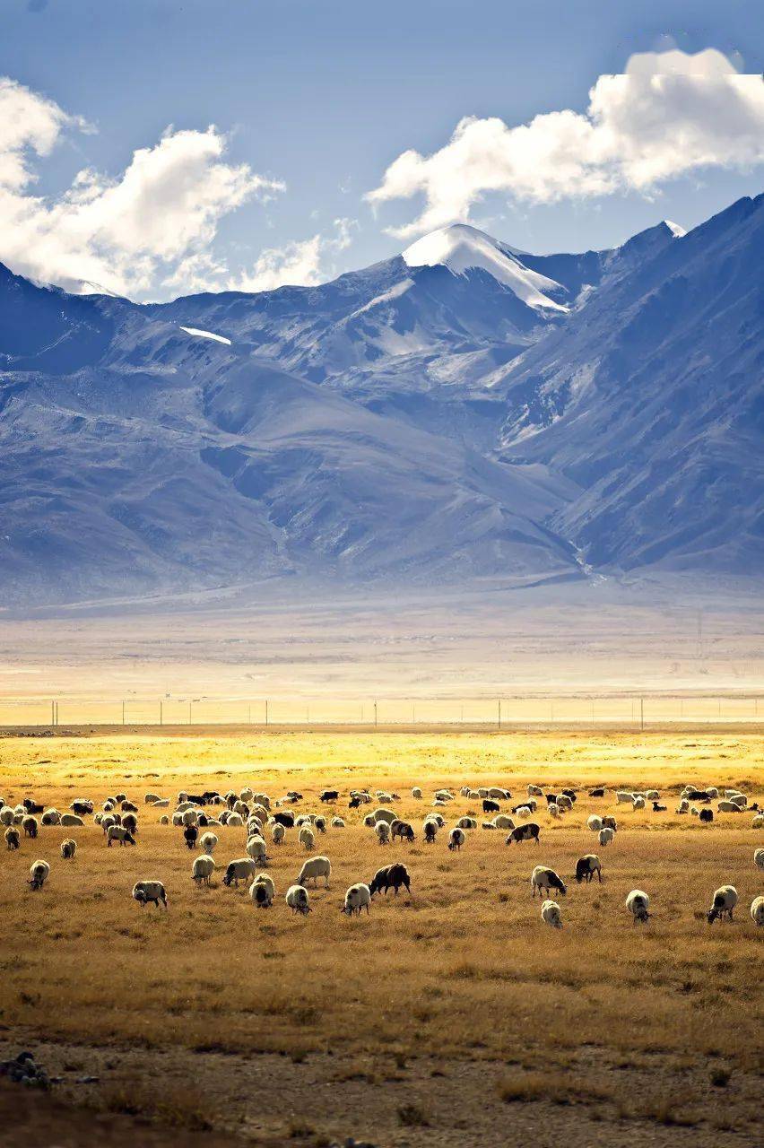 "中国最美的50个地方"榜单出炉!你去过几个呢?