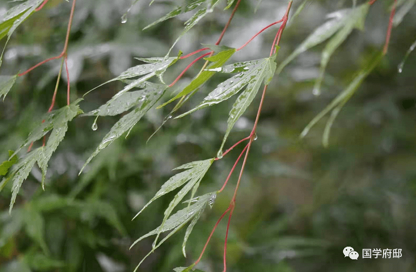 《六月二十七日望湖楼醉书五首·其一》黑云翻墨未遮山,白雨跳珠乱入