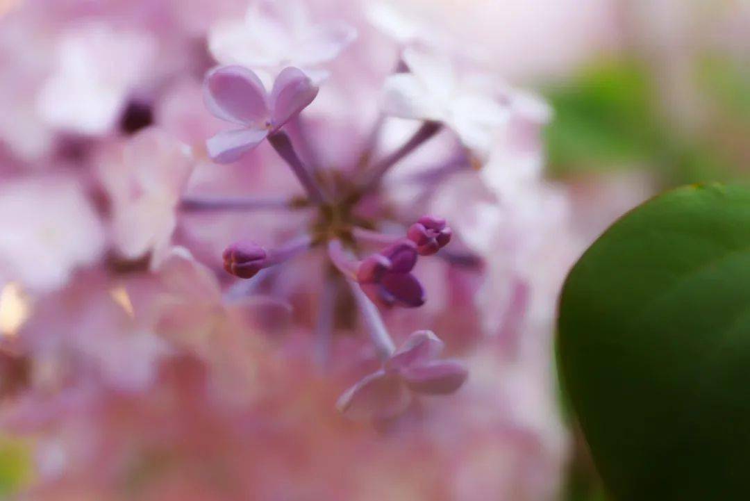 平常心是一种境界 134548da2f4c4f0fa21663bab5cd8557.jpeg