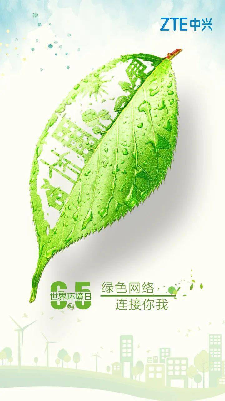 世界环境日丨绿色网络连接你我