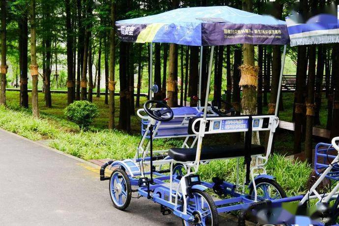 让废旧塑料瓶重"塑"新生,新环保款景区车顶篷布6月5日世界环境日亮相