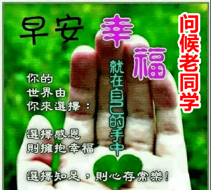 剛出的老同學早上好問候表情包老同學第一個祝福送給你祝你一天萬事