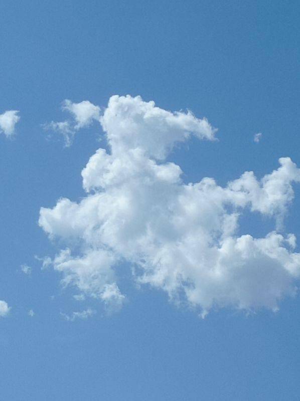 五月天空缀飞云