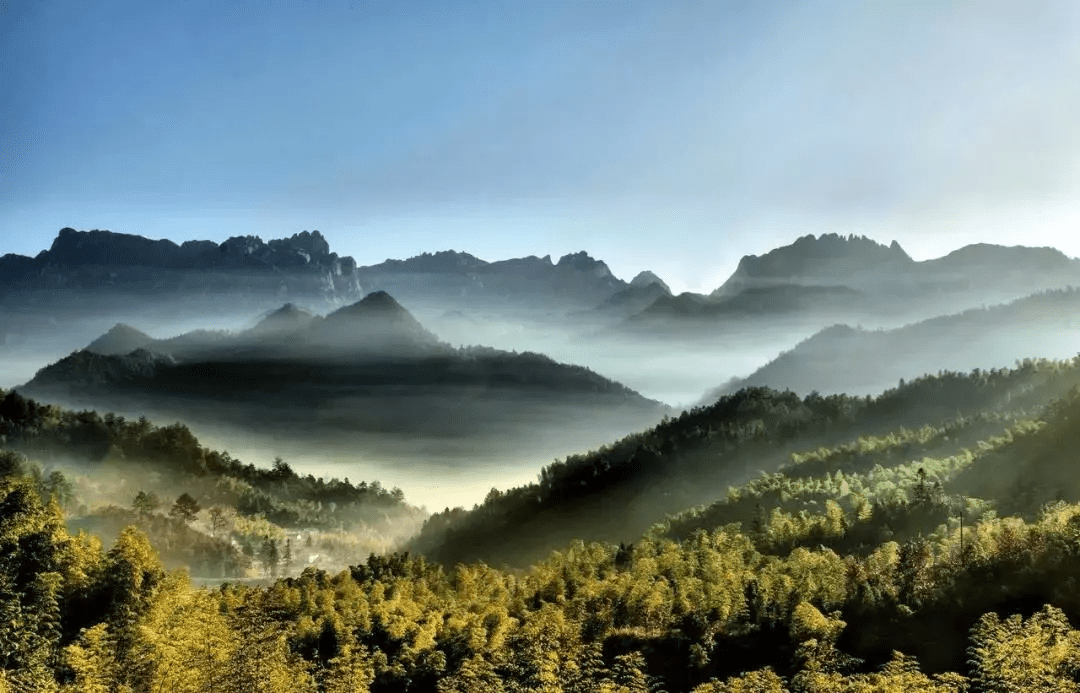 睡进在黄山脚下山水之中的茶园民宿种米采茶把酒夜话丨云华栖