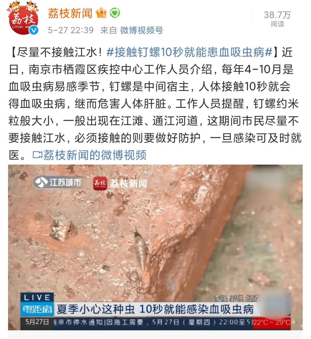 9岁男孩在河里游泳后睾丸长满了密密麻麻的虫卵医生提醒这个病近期