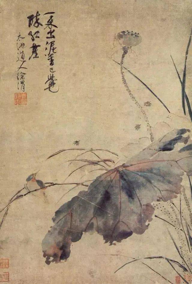 徐渭:五月的荷,这气势,挡不住啊