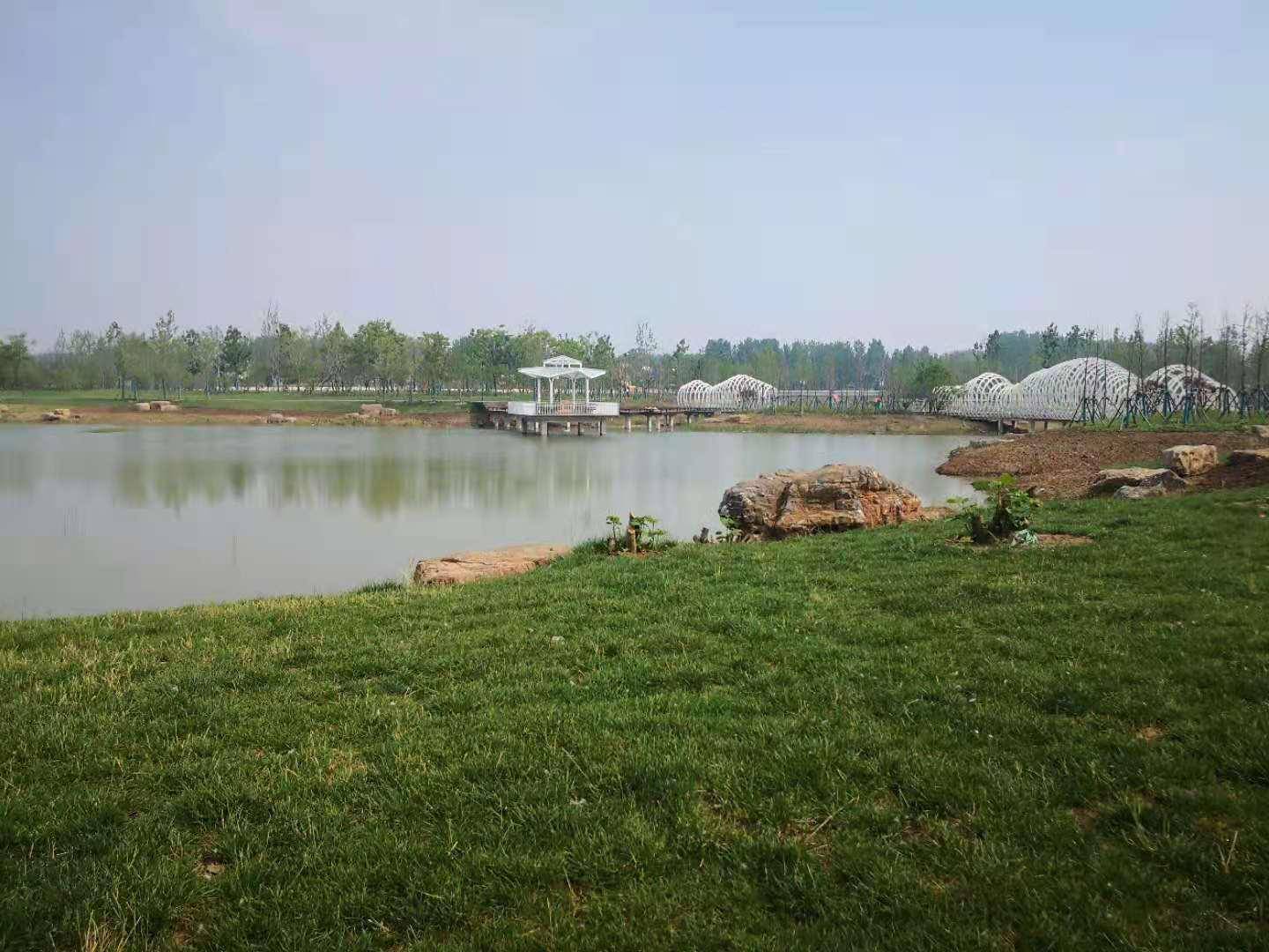 「图集」正阳植物园,人少景美