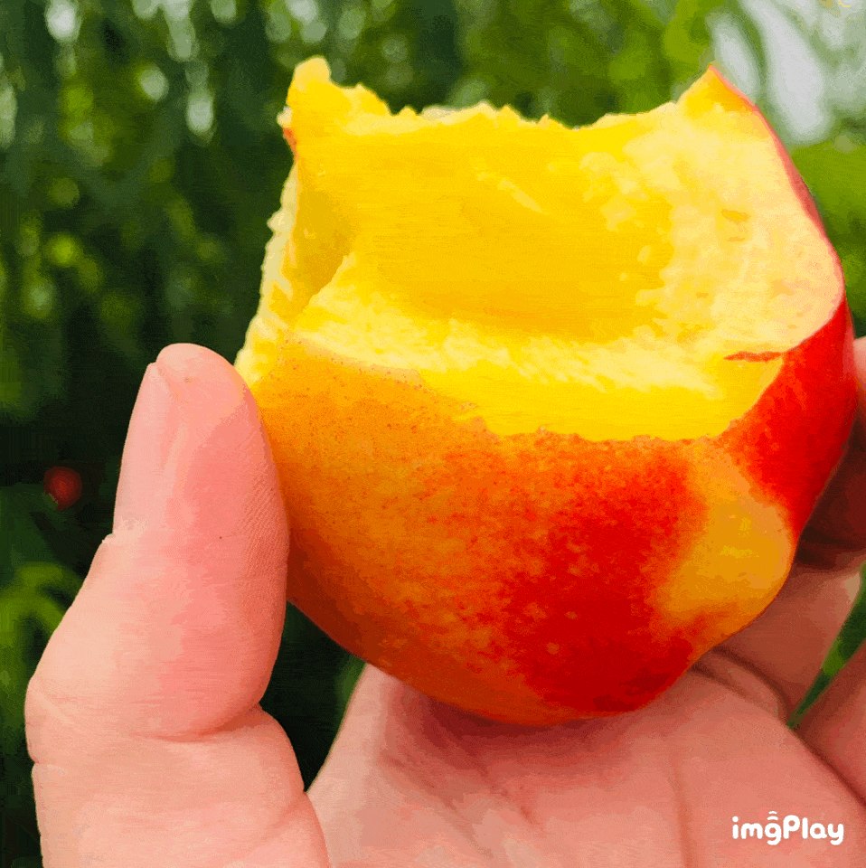 958_960gif 动态图 动图