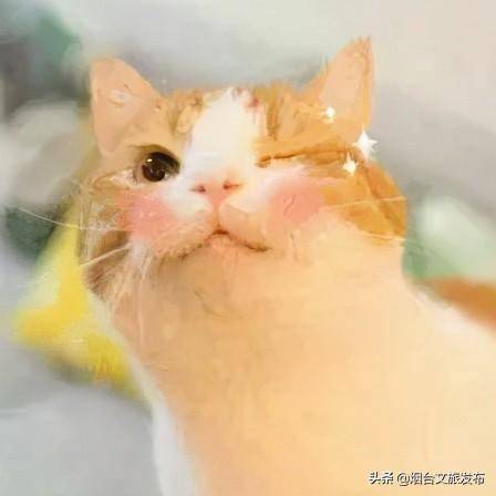 怎么快速找到家里蚂蚁窝 fb7522c8e2bc4477ab0203651987de73.jpeg