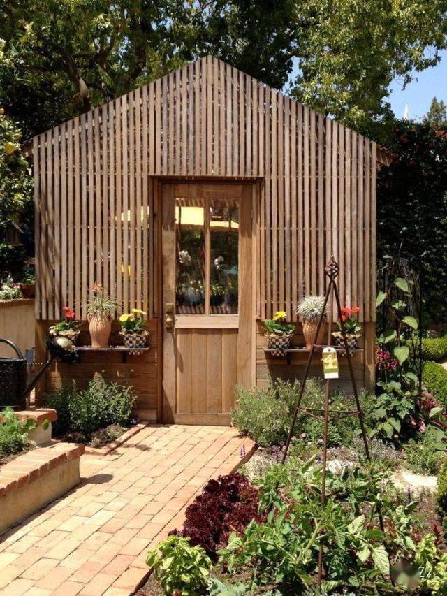 乱石穿空67阳光灿烂的花房