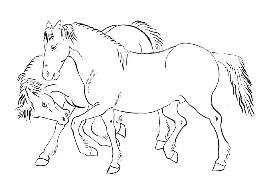 教你如何工笔画马建议收藏