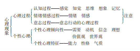 易错点拨丨心理现象及其结构